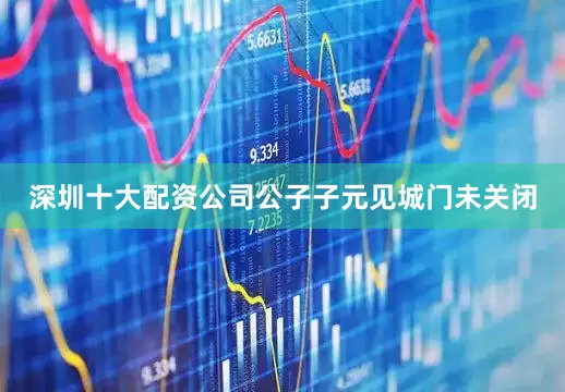深圳十大配资公司公子子元见城门未关闭