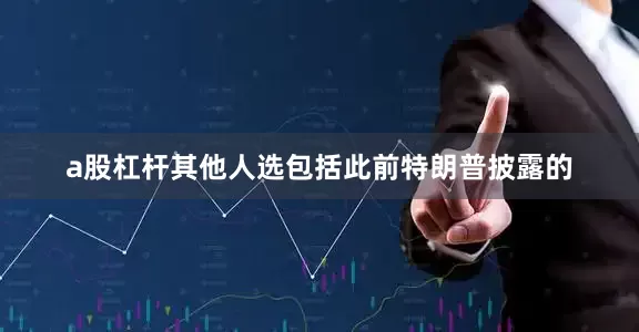 a股杠杆　　其他人选包括此前特朗普披露的
