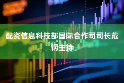 配资信息科技部国际合作司司长戴钢主持